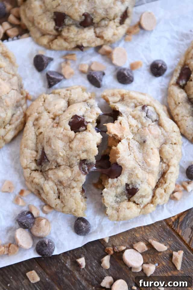Signature Oatmeal Chocolate Chip Peanut Butter Toffee Cookies 8 A warm, soft oatmeal chocolate chip peanut butter toffee cookie, broken in half, showcasing its gooey center and abundant melted chips, resting on white parchment paper.