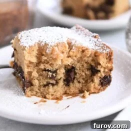 Half eaten square of chocolate chip cake dusted with powdered sugar on white plate.