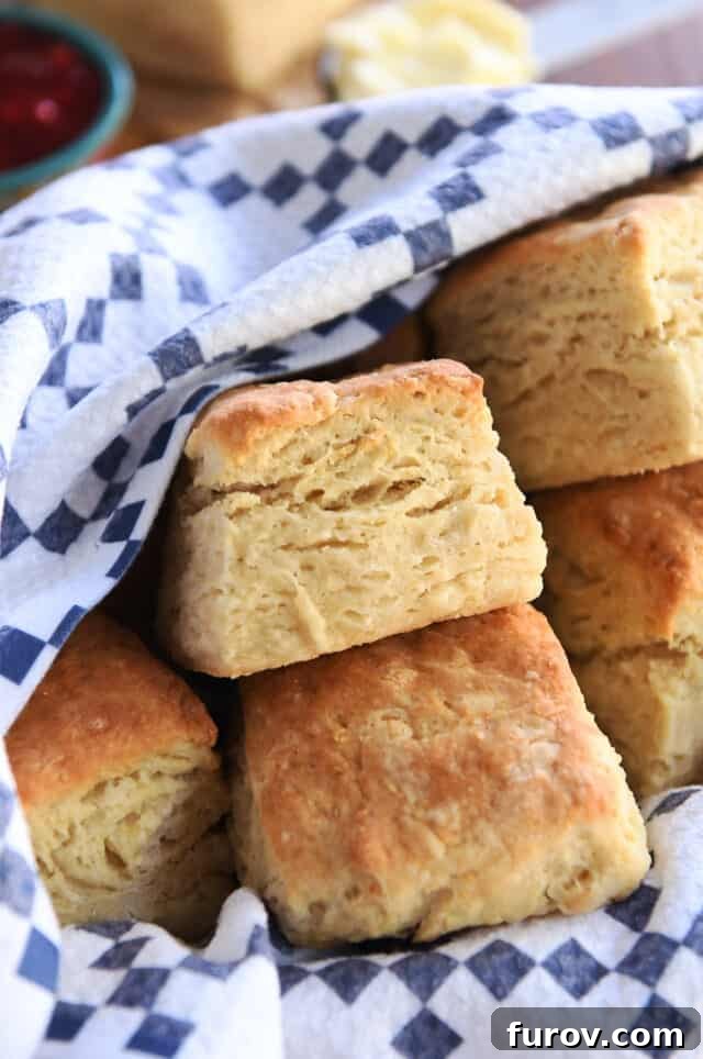 Baked sourdough biscuits in a rustic basket, resting on a blue and white striped towel, highlighting their golden-brown tops and flaky texture.