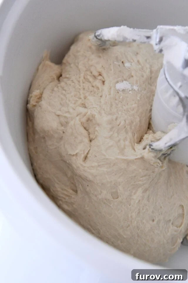 French bread dough mixed in Bosch mixer.