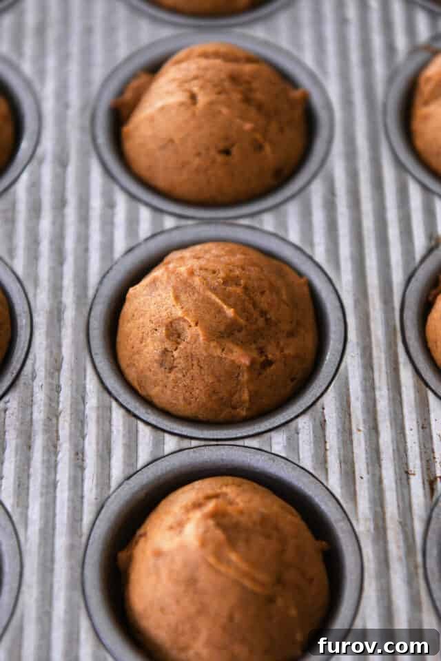Baked mini pumpkin muffins in tin.