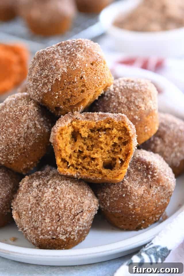 Half pumpkin mini donut muffin in stack of mini muffins on white plate.