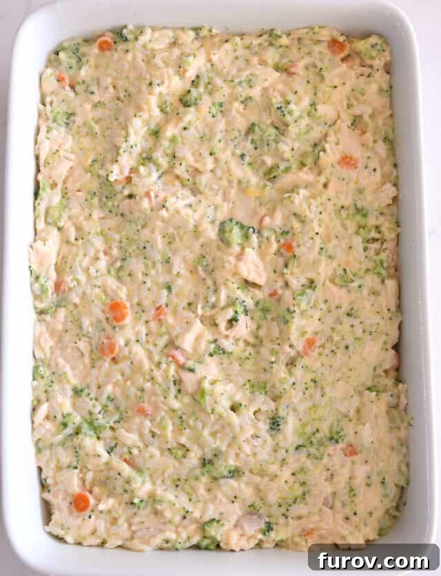 A white 9x13-inch baking pan filled with the unbaked cheesy broccoli chicken and rice casserole mixture, ready for the topping.