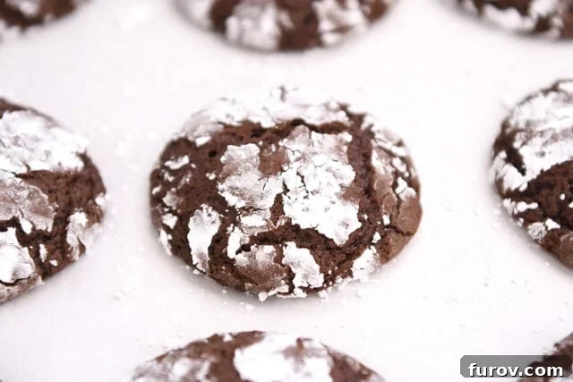 Several chocolate crinkle cookies on parchment paper.