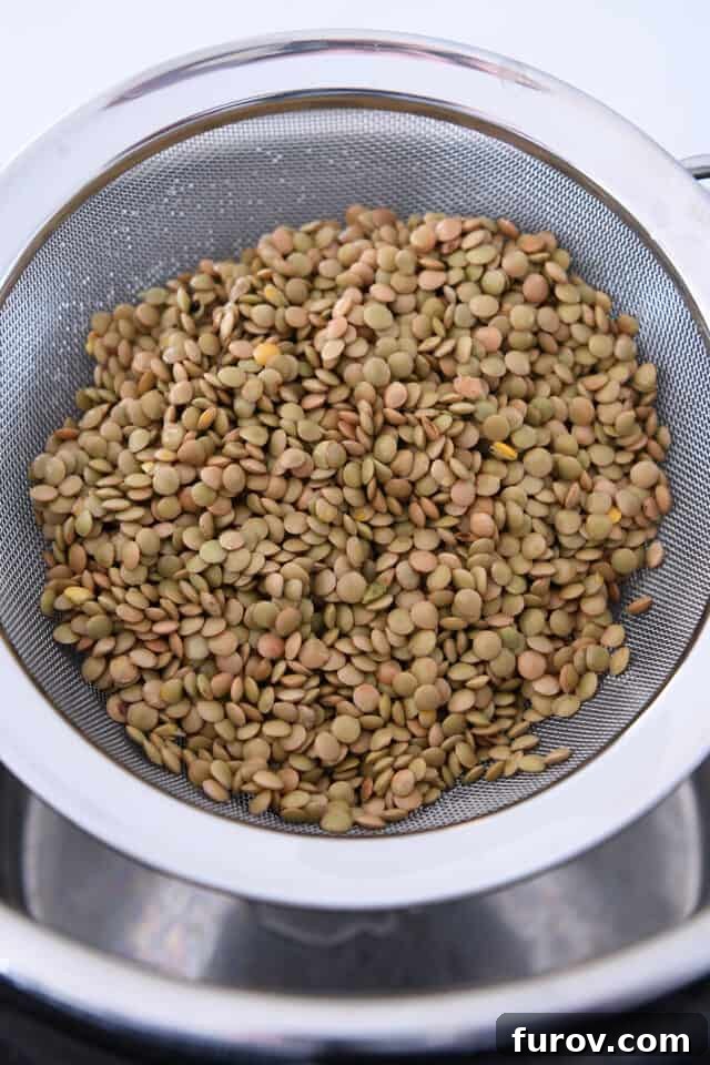 One-Pot Wonder Lentil Tacos 3 Washed and rinsed brown and green lentils in strainer.