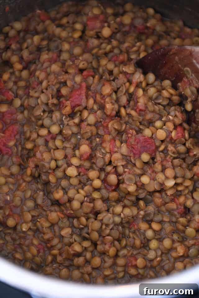 One-Pot Wonder Lentil Tacos 6 Cooked lentils with red salsa in Instant Pot.