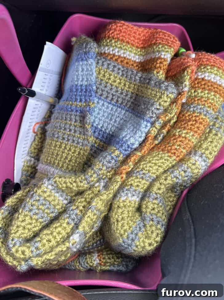 Friday Musings and Big Cookbook News 6 A partially crocheted weather blanket, showcasing a vibrant array of colors, stored in a craft bag.