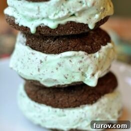 Chocolate-Mint Chip Ice Cream Sandwich