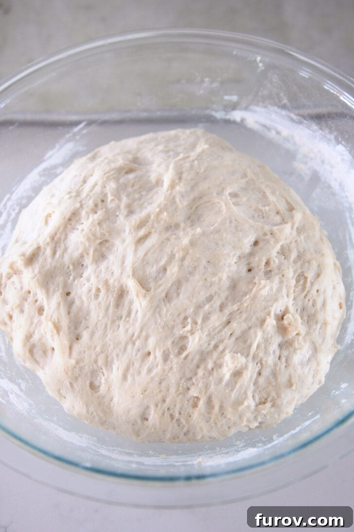Bread dough after rising, visibly puffed up and expanded in a glass bowl, indicating successful yeast activation.