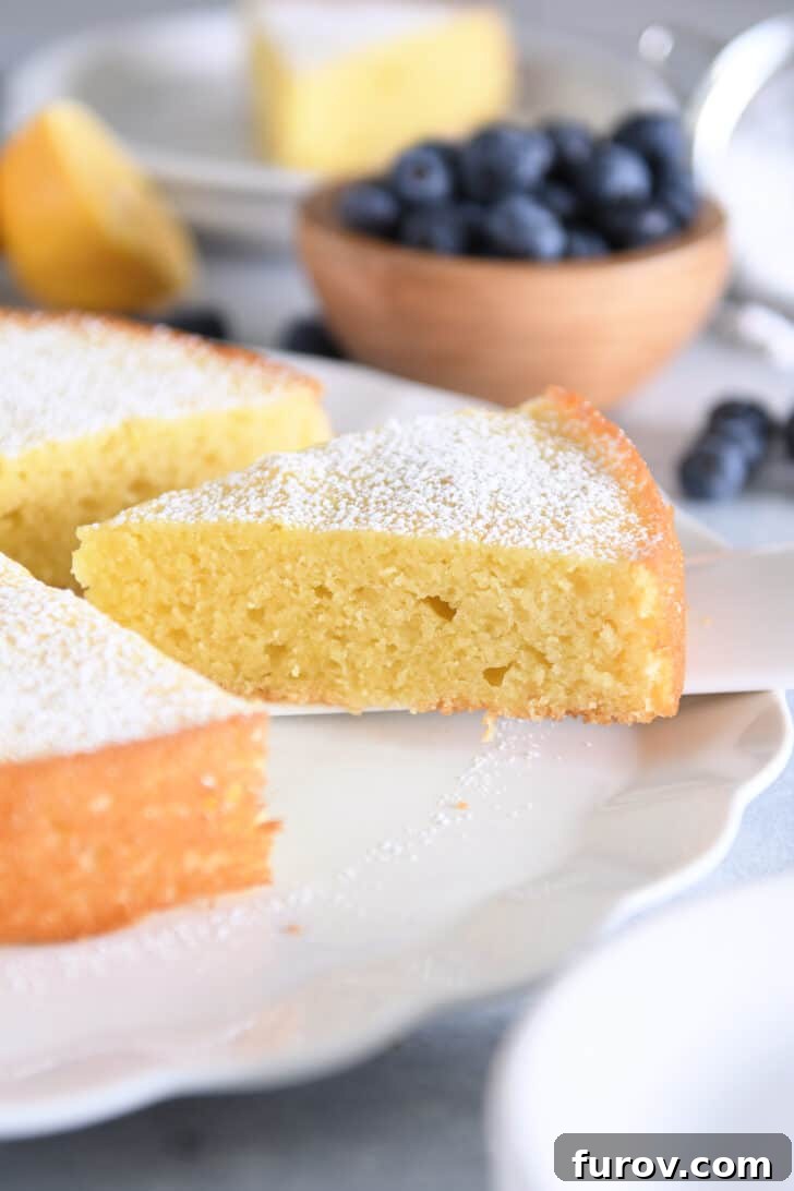 Triangle of olive oil cake on white cake server.