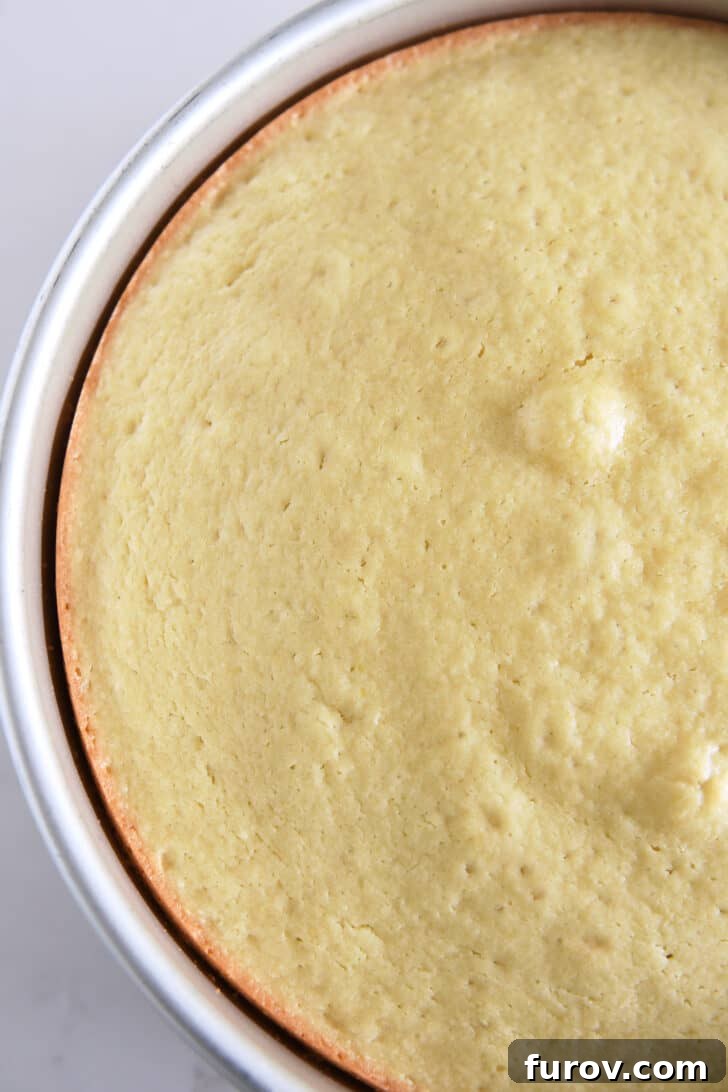 Top down view of baked olive oil cake in 9-inch round baking pan.