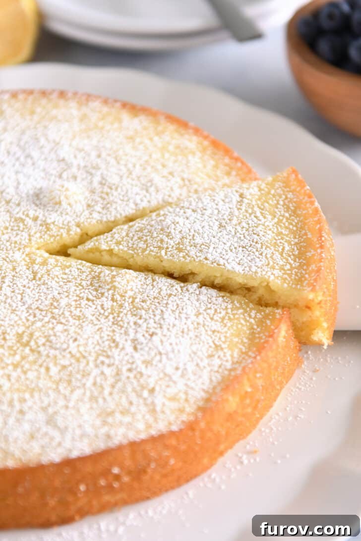 Triangle of olive oil cake dusted with powdered sugar cut out of whole cake.