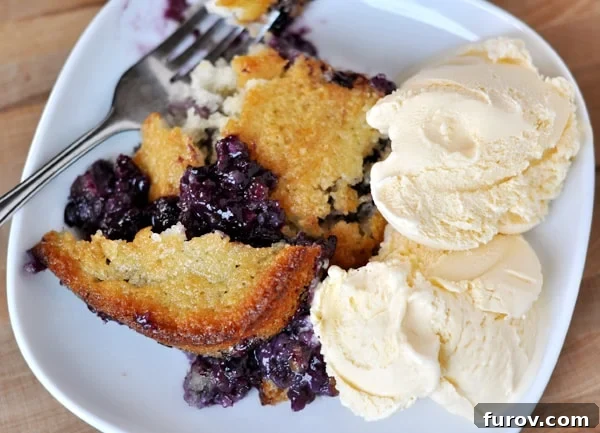 Top view of a white plate with baked Texas-style blueberry cobbler and a generous scoop of vanilla ice cream on the side, showcasing the rich texture.