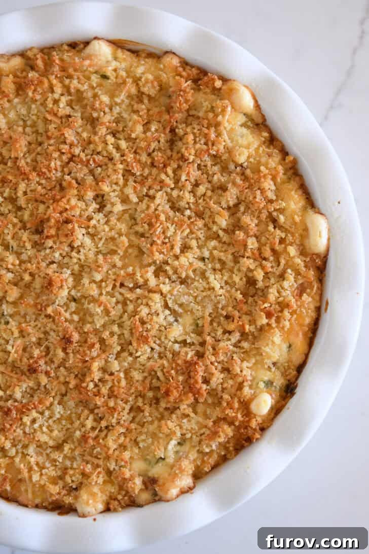 Top down view of baked bacon jalapeno popper dip in white plate.
