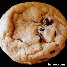 Aunt Alecia’s Famous Chocolate Chip Cookies