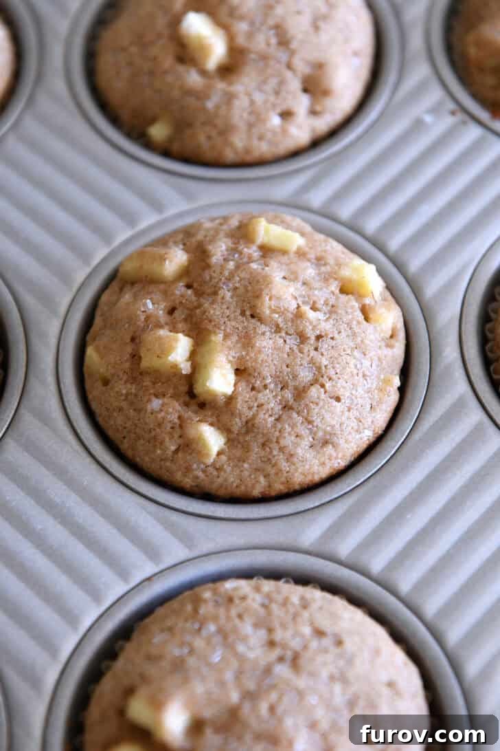 Spiced Apple Cinnamon Treats 8 A perfectly baked apple cinnamon muffin still in its paper liner, sitting in a muffin tin, displaying a golden brown top.