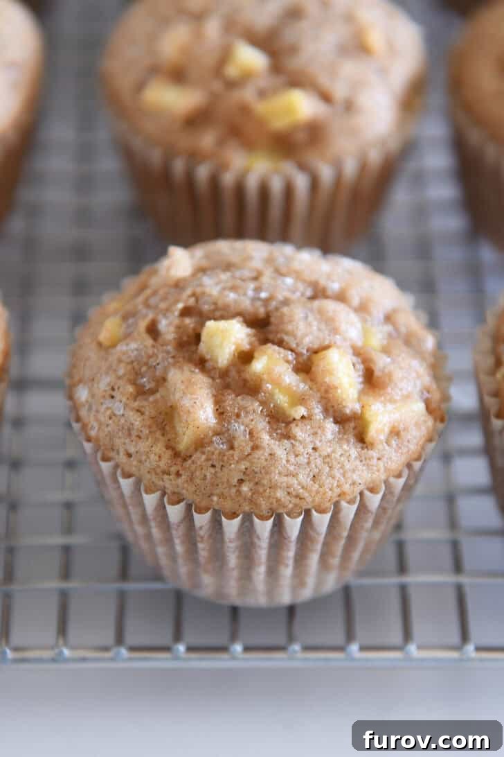 Spiced Apple Cinnamon Treats 9 A single baked apple cinnamon muffin, still in its paper liner, resting on a cooling rack, showcasing its perfect golden-brown top.