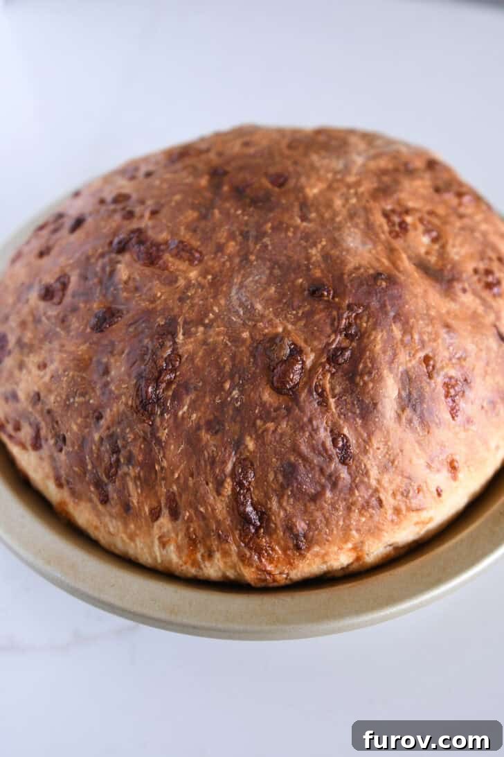 Freshly baked golden loaf of cheesy peasant bread cooling in a pie plate.
