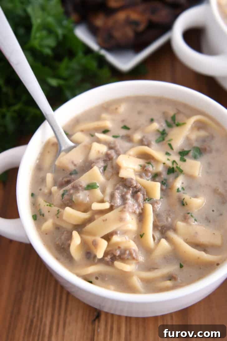 Spoon scooping up bite of thick noodles, broth and ground beef from a bowl of creamy beef stroganoff soup.