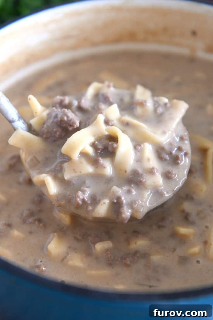 Ladle scooping creamy beef stroganoff soup with noodles from a soup pot, ready to serve.