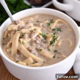 Spoon in bowl with beef stroganoff soup topped with fresh parsley.