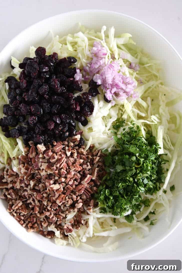 White bowl of thin-sliced green cabbage, dried cranberries, red onions, parsley and pecans.