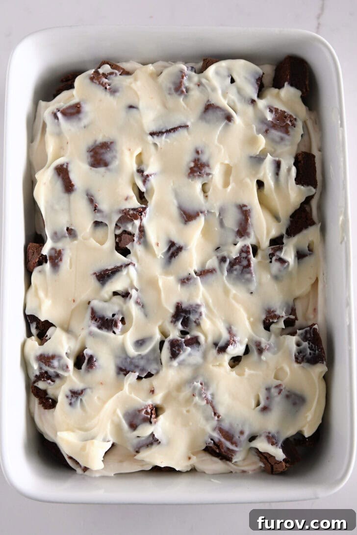 Pudding layer spread over the top of brownie cubes.