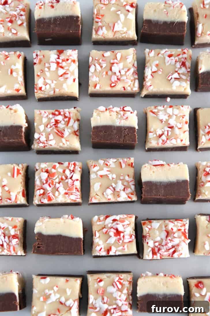 Candy Cane Swirl Fudge 2 A top-down view of many perfectly cut pieces of Peppermint Bark Fudge, featuring both dark chocolate and white chocolate layers, adorned with crushed peppermint candy. Several pieces are turned on their sides, showcasing the distinct layers.