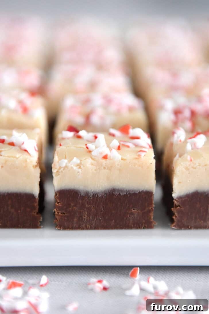 Candy Cane Swirl Fudge 7 A close-up view of a perfectly layered piece of peppermint bark fudge, showcasing the dark chocolate base, creamy white chocolate top, and vibrant crushed peppermint. It rests on a pristine white tray, inviting a bite.
