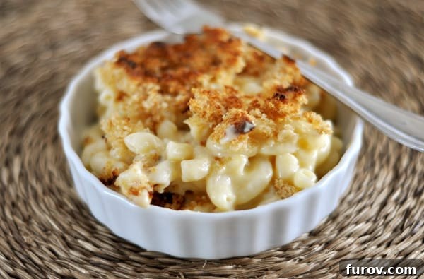 Ultimate Creamy Mac and Cheese 2 A white ramekin with golden, panko-topped macaroni and cheese, perfectly baked and bubbling.