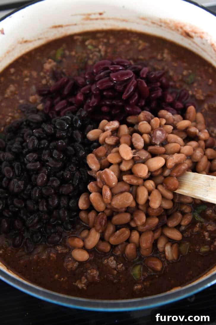 Pinto beans, black beans and kidney beans in chili pot.