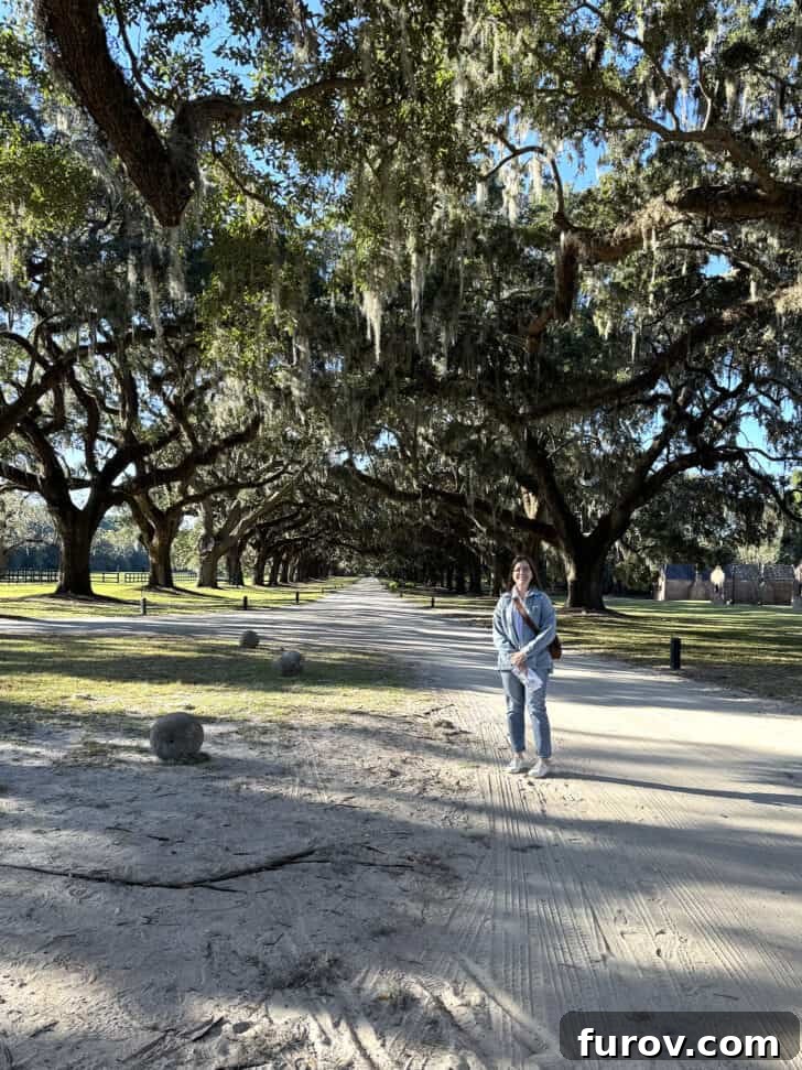 The stunning Avenue of the Oaks at Boone Hall Plantation