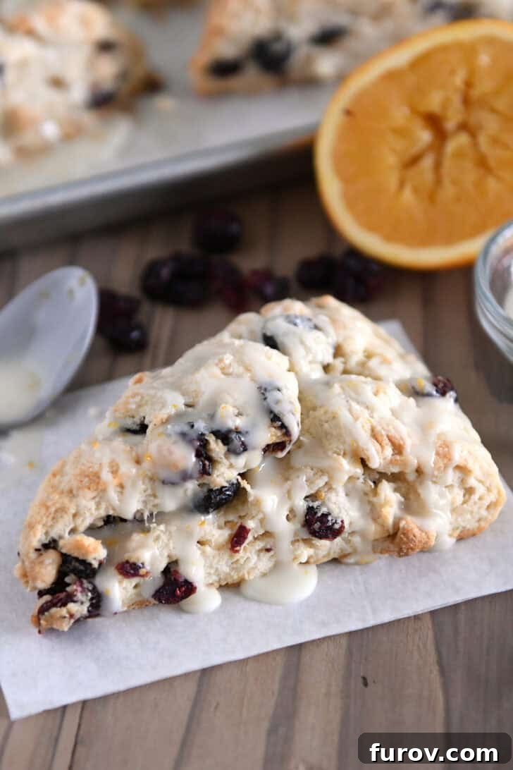 Sunburst Cranberry White Chocolate Scones 2 Single cranberry orange scone drizzled with glaze on sheet of parchment paper.