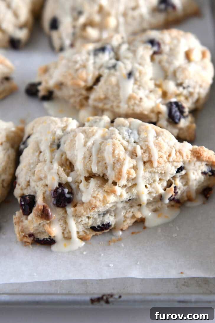 Sunburst Cranberry White Chocolate Scones 12 Baked cranberry orange scones drizzled with glaze.