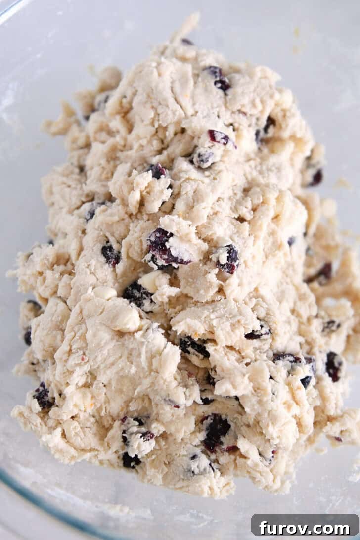 Sunburst Cranberry White Chocolate Scones 8 Bowl with mixed scone batter with dried cranberries and chocolate chips.