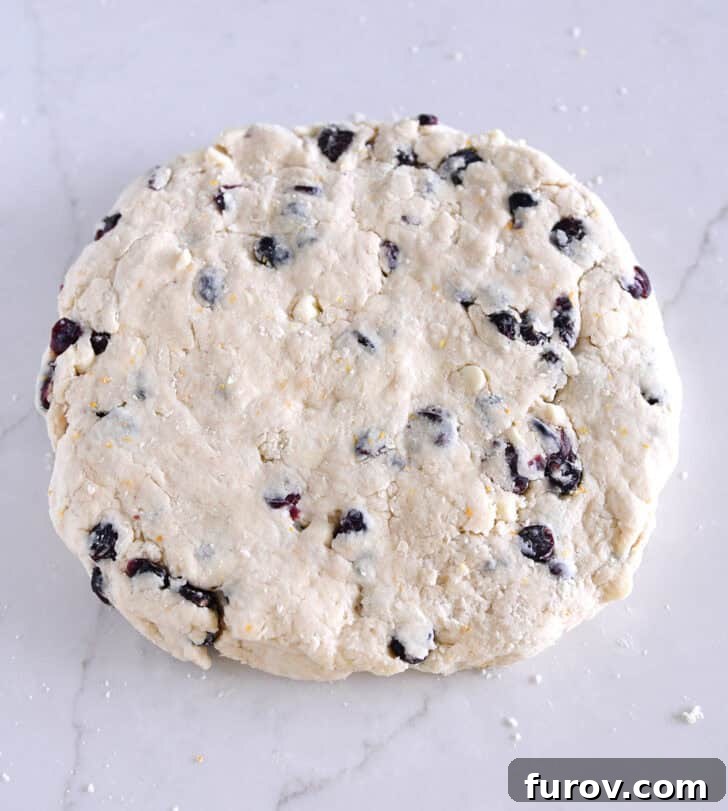 Sunburst Cranberry White Chocolate Scones 9 Cranberry orange scone dough patted into thick circle.