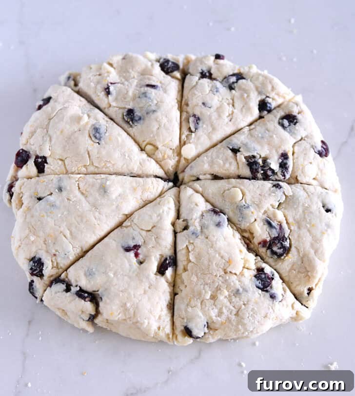 Sunburst Cranberry White Chocolate Scones 10 Circle of scone dough cut into eight triangle pieces.
