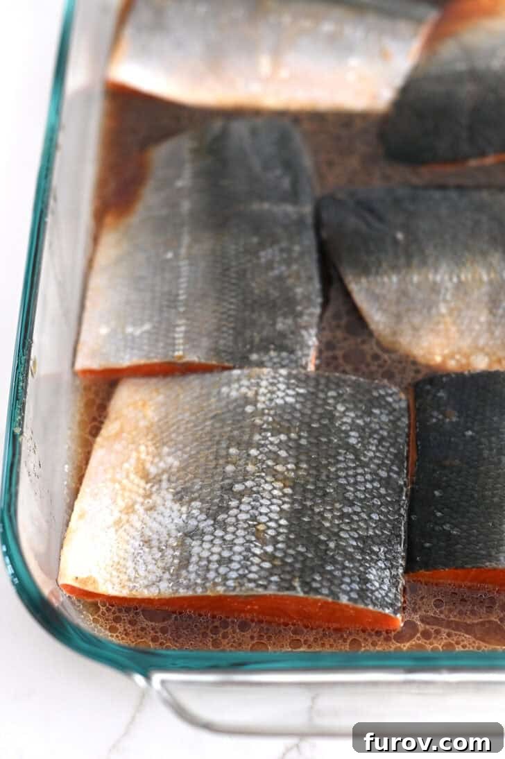 Salmon fillets placed skin side up in a glass baking pan, generously coated in the rich brown marinade, ready for refrigeration.