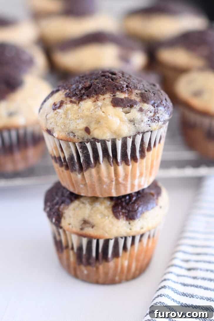 Marbled Chocolate Banana Muffins 11 Two perfectly baked banana chocolate swirl muffins, stacked one on top of the other, showcasing their inviting texture and marbled appearance.