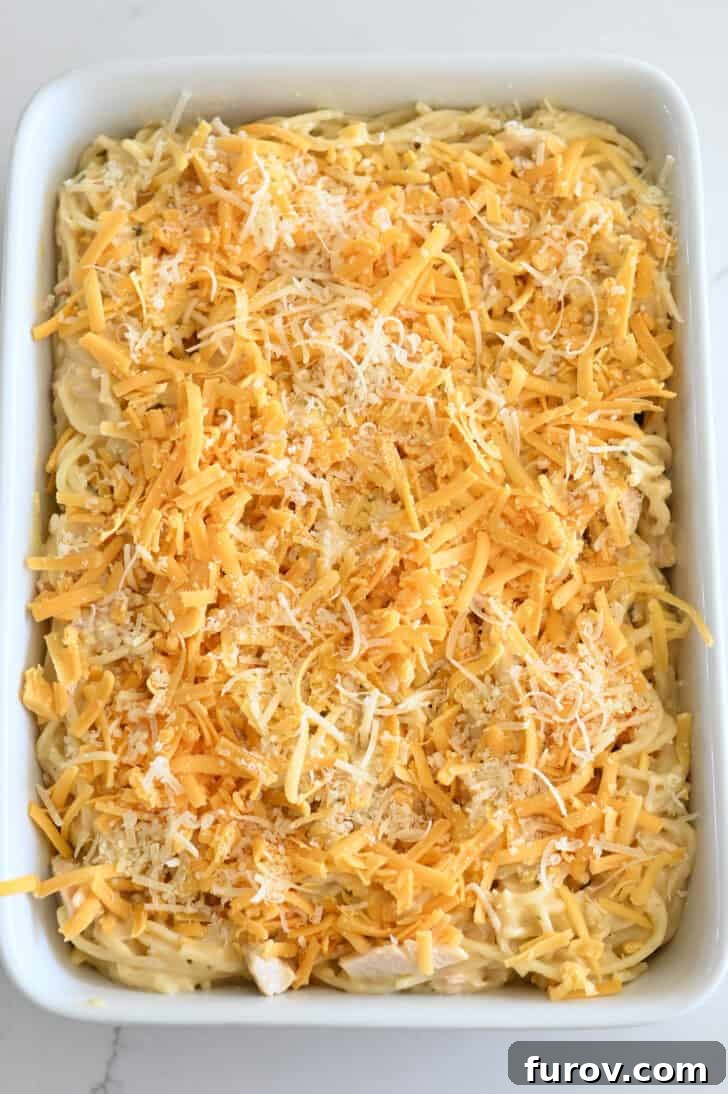 Top down view of shredded cheddar and Parmesan cheeses on top of cooked spaghetti with cheese sauce and cooked chicken.