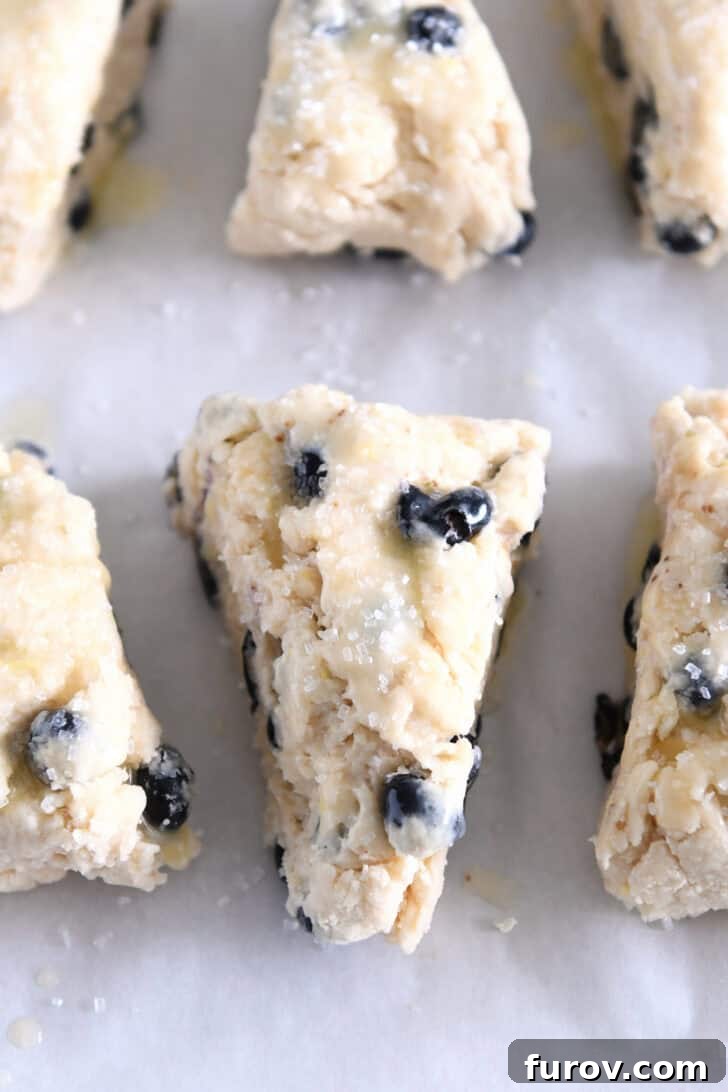 Unbaked lemon blueberry scones brushed with melted butter and generously sprinkled with coarse turbinado sugar on a baking sheet.