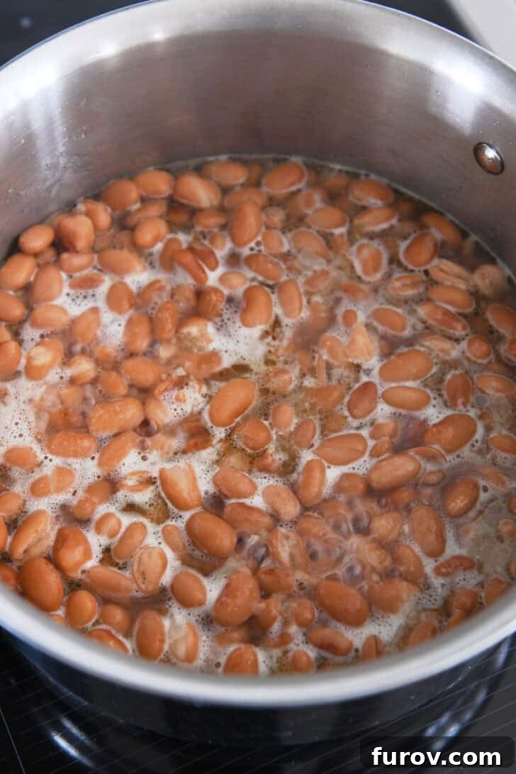 Canned beans, garlic, and onion simmering together in a stainless steel pot with broth, infusing rich flavors.