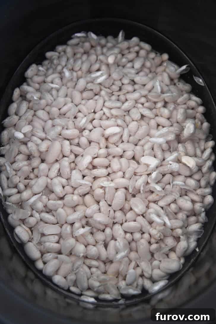 Dry white beans soaking in water inside a black slow cooker, preparing for the slow cooking process.