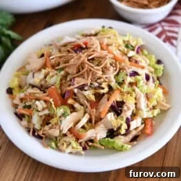 Asian chicken salad on a pristine white plate, garnished with fresh cilantro and crispy noodles.