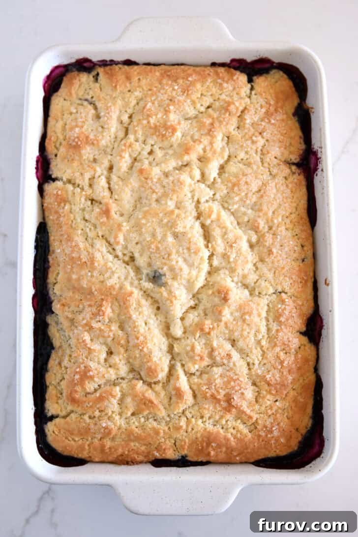 The Ultimate Triple Berry Cobbler with an Unforgettable Topping 8 A perfectly baked triple berry cobbler, boasting a golden-brown, tender topping and bubbling fruit filling, presented invitingly in a pristine white baking pan.