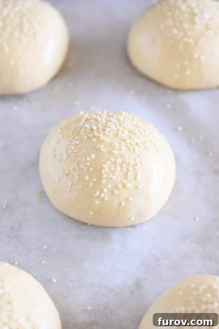 Homemade hamburger buns rising on parchment paper with sesame seeds on top.