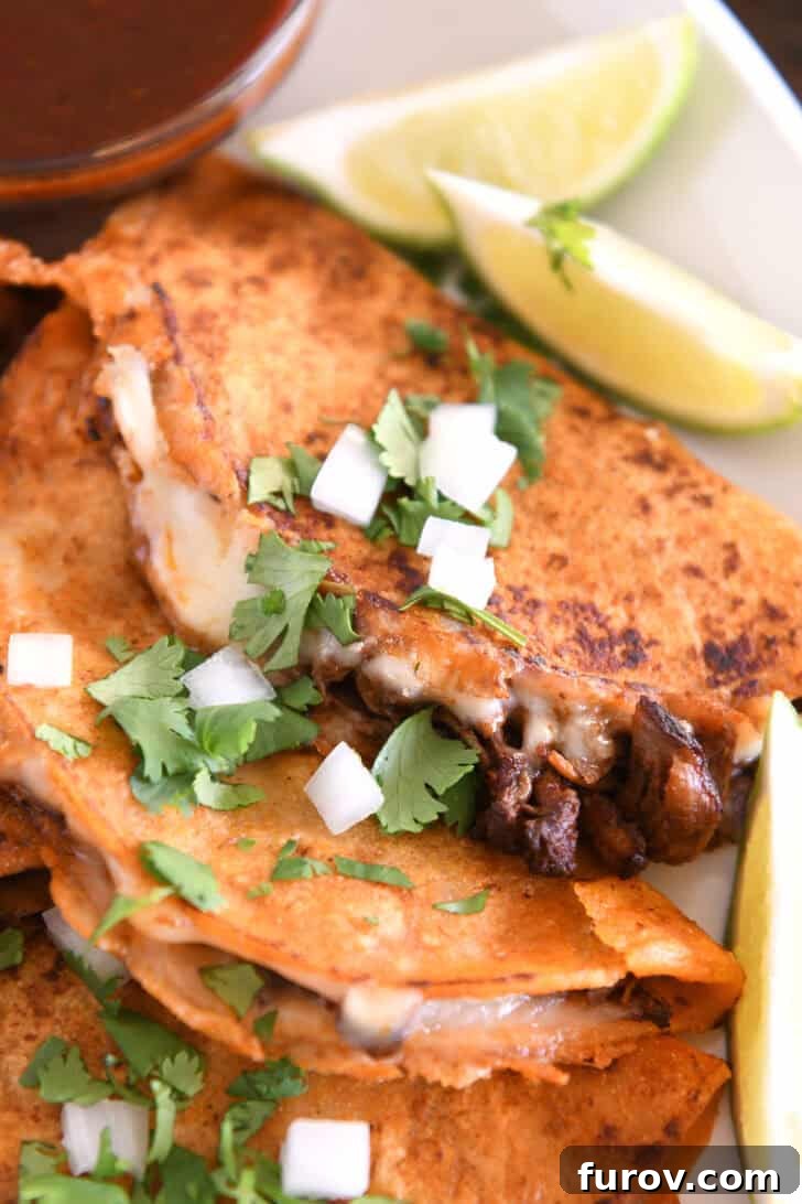 Ultimate Slow Cooker Birria Tacos 12 Two corn tortillas filled with beef and melty cheese topped with cilantro and onions on white platter.