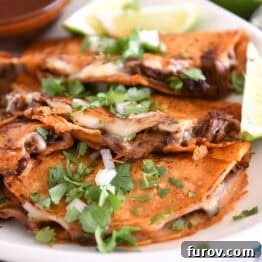 Three corn tortillas filled with beef and melty cheese topped with cilantro and onions on white platter.