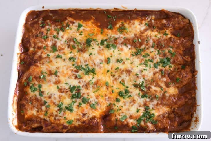 Top-down view of a freshly baked pan of ground beef enchiladas, featuring a bubbly red sauce, perfectly melted cheese, and a garnish of fresh cilantro.