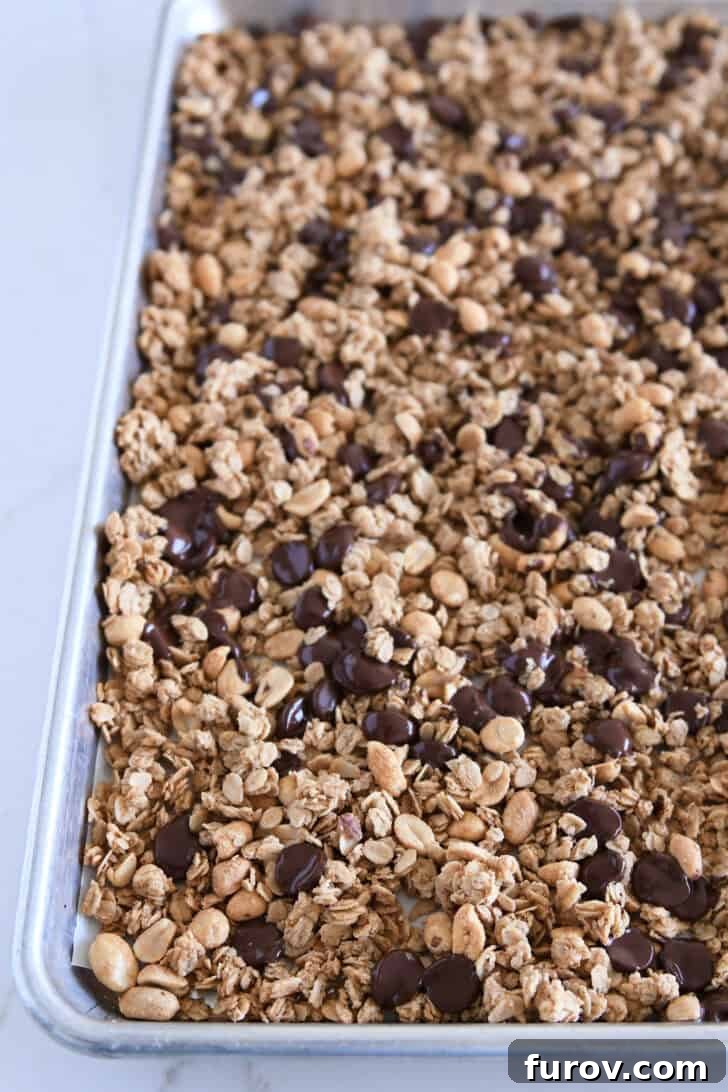 Melted chocolate chips gently tossed with baked peanut butter granola on a parchment-lined half sheet pan, illustrating the perfect texture.